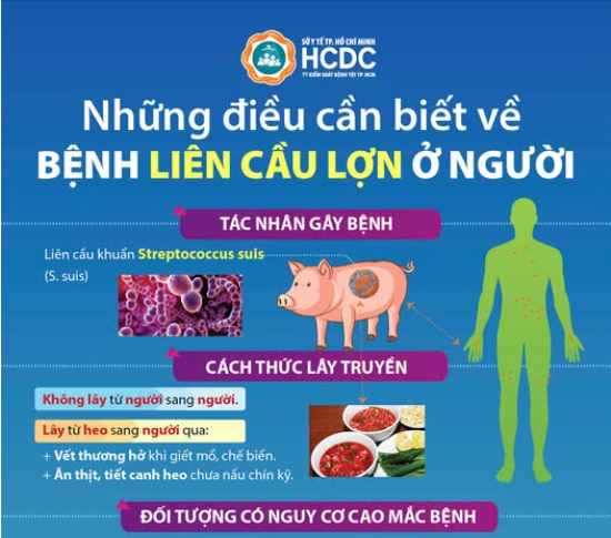 Những điều cần biết về bệnh liên cầu lợn ở người