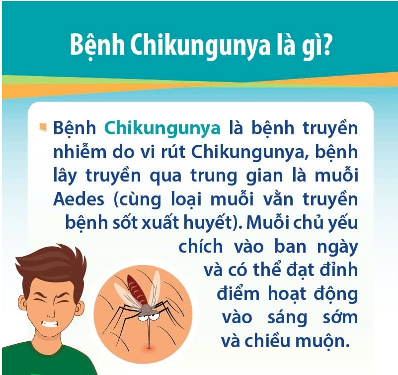 Tài liệu về bệnh Chikungunya