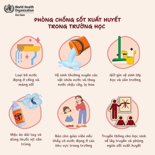 Phòng chống sốt xuất huyết trong trường học