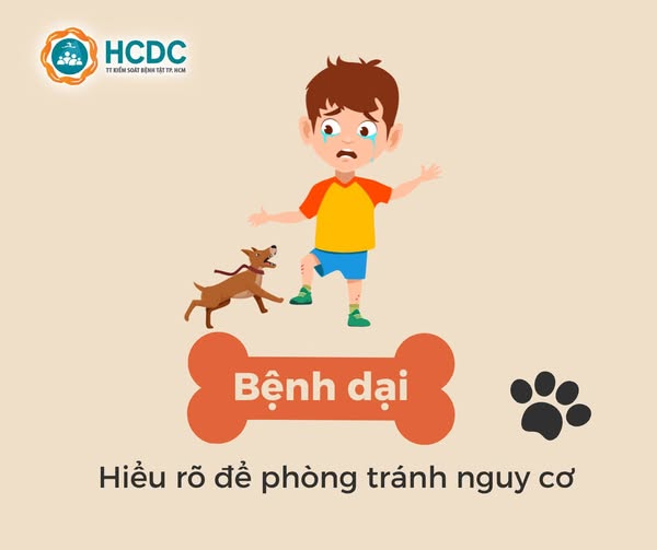 Bệnh dại: Hiểu rõ để phòng tránh nguy cơ