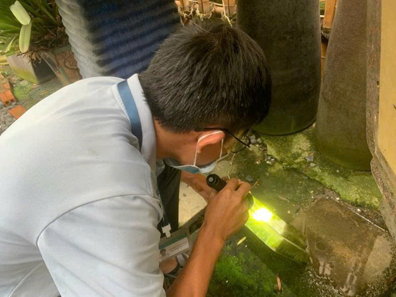 PHƯỜNG TÂN BÌNH TĂNG CƯỜNG GIÁM SÁT TRIỂN KHAI THỰC HIỆN DIỆT LĂNG QUĂNG, XỬ LÝ Ổ DỊCH TRÊN ĐỊA BÀN