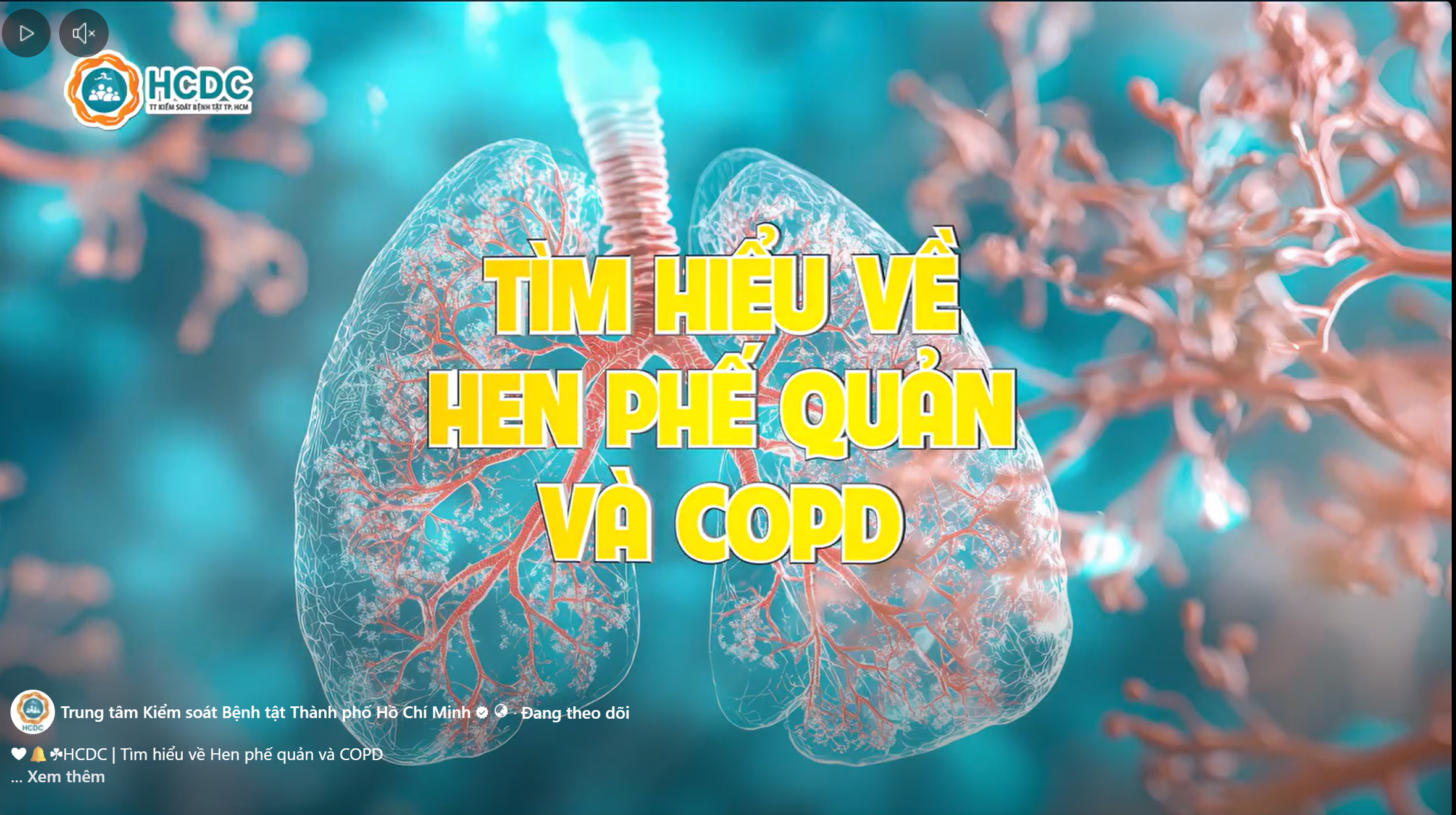 HCDC | Tìm hiểu về Hen phế quản và COPD