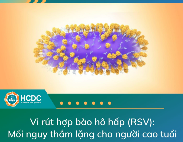 Vi rút hợp bào hô hấp (RSV): Mối nguy thầm lặng cho người cao tuổi