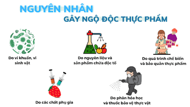 TĂNG CƯỜNG ĐẢM BẢO AN TOÀN THỰC PHẨM DỊP TẾT NGUYÊN ĐÁN BÍNH NGỌ 2026