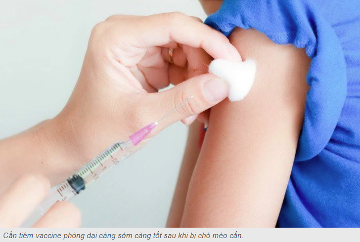 Tiêm vaccine phòng dại có hại cho sức khỏe không?
