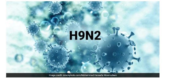 TP.HCM: ghi nhận ca mắc cúm gia cầm A(H9N2) trên người đầu tiên của cả nước