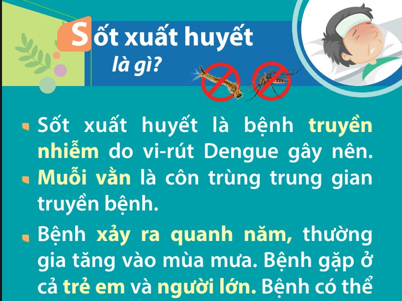 Tài liệu truyền thông về sốt xuất huyết